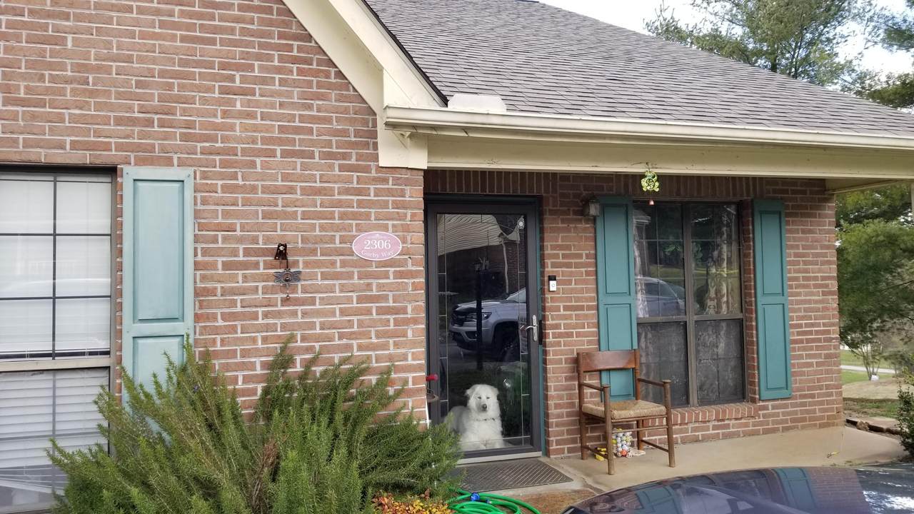 2306 Gorby Way - Photo 1