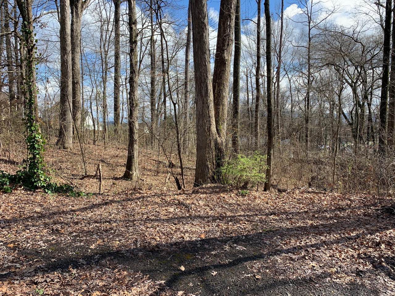 Seymour Heights Drive - Photo 1
