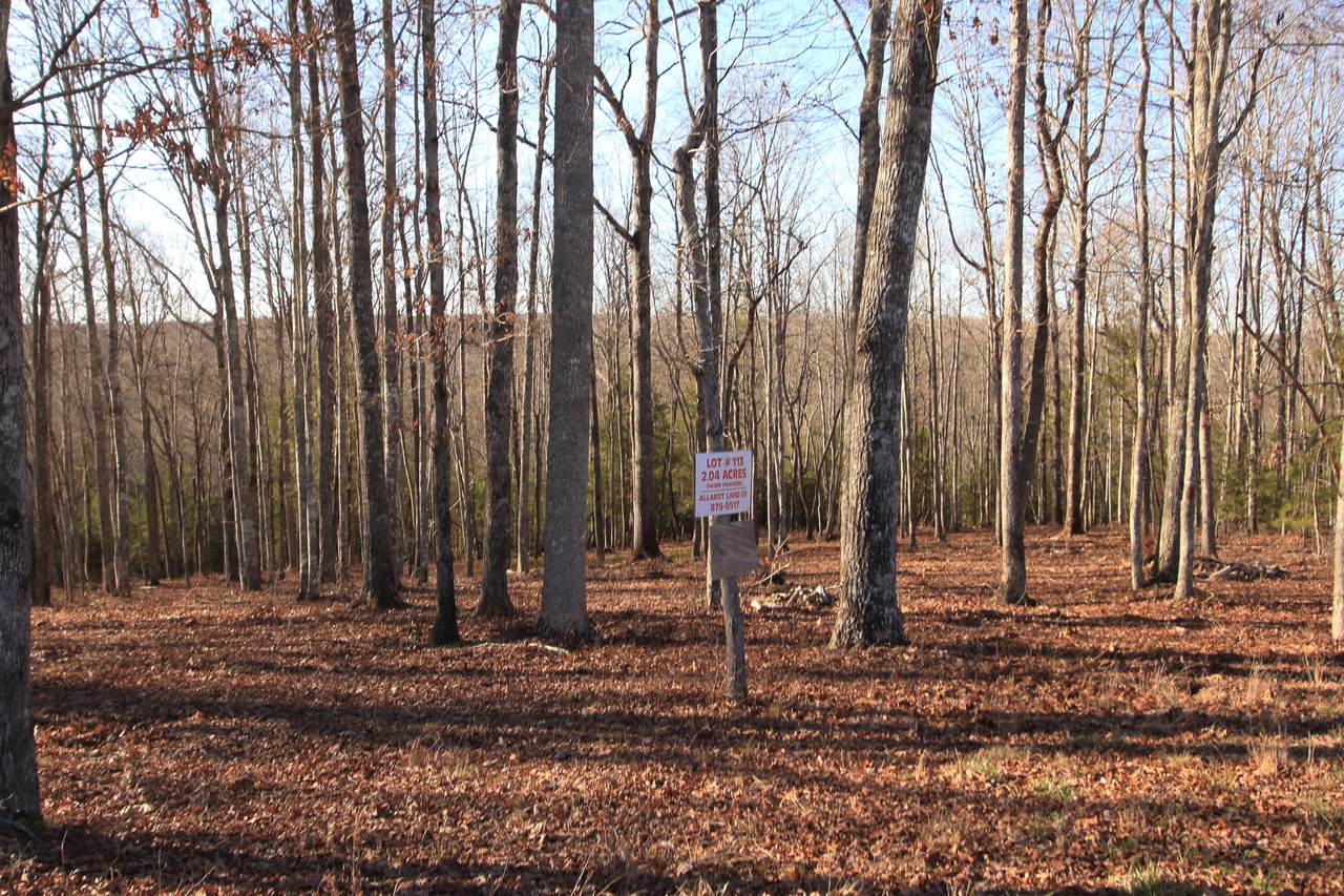 Lot 113 End Of Trail Court - Photo 1