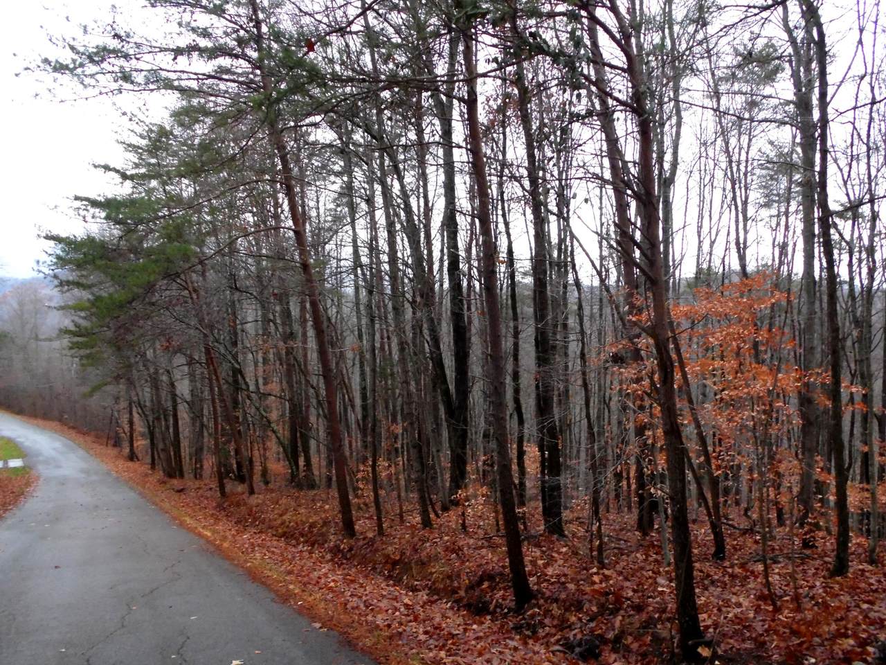 Pine Hollow Rd - Photo 1