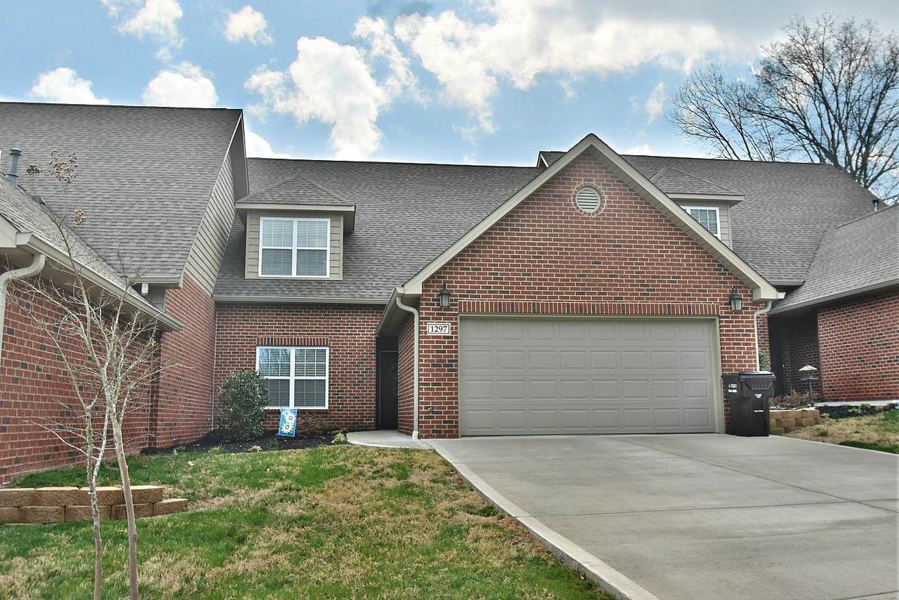 1297 Meadow Walk Lane - Photo 1