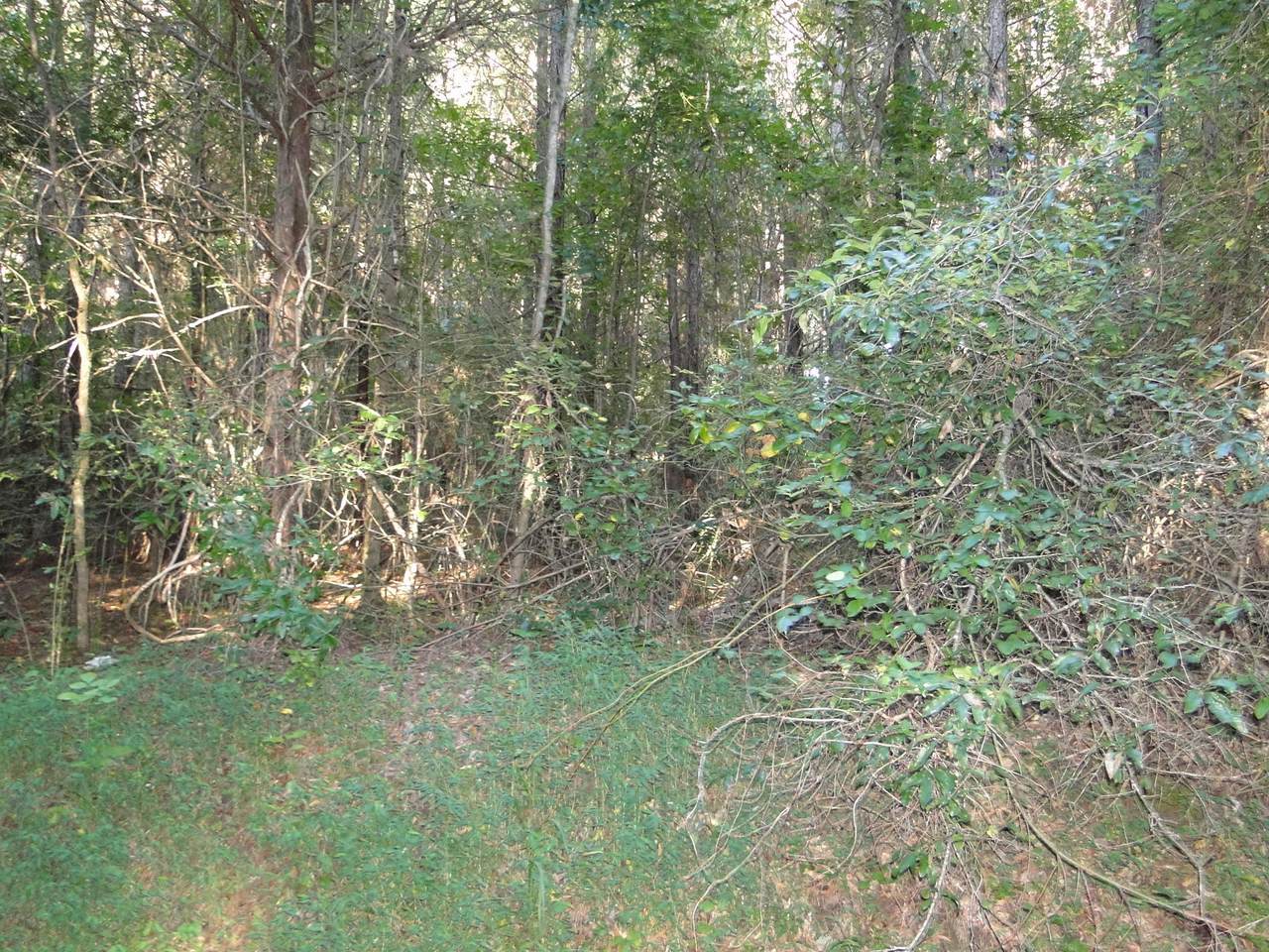 Lot#9 State Hwy 30 W/ Lower Concord - Photo 1
