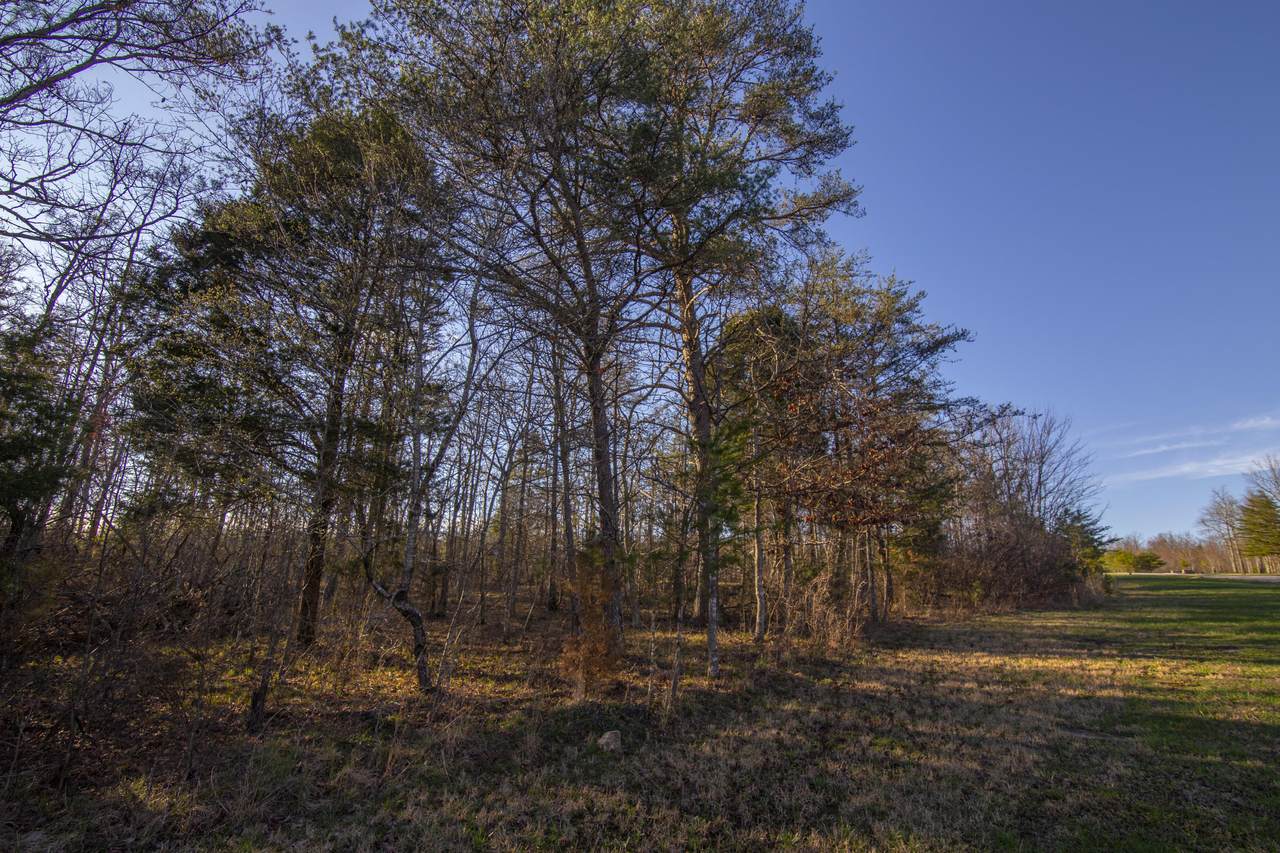 Long Branch Rd - Photo 1 Long Branch Rd - Photo 1