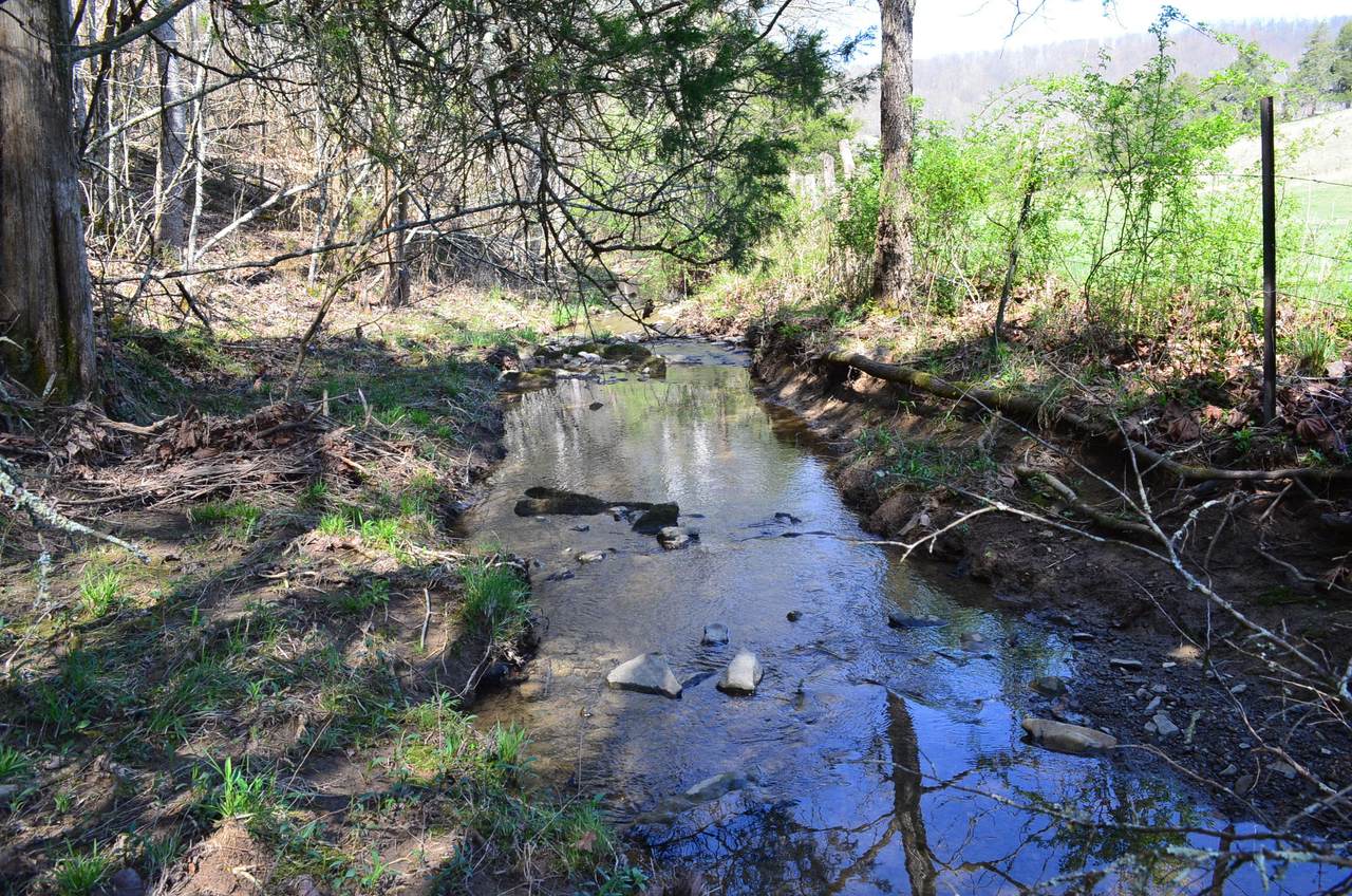 1832 Clinch Valley Rd - Photo 1