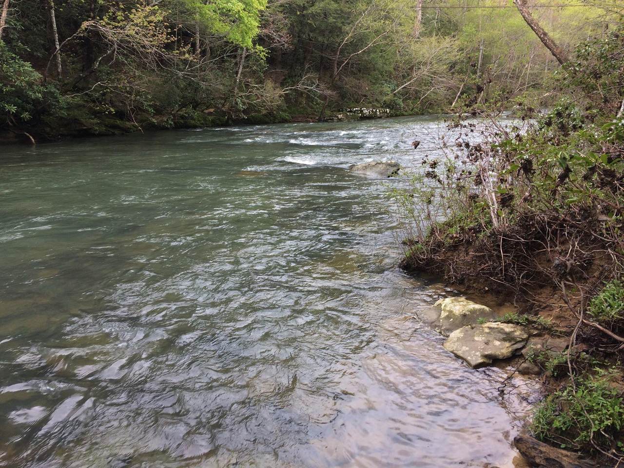 White Oak Creek, Lot 17 Lane - Photo 1 White Oak Creek, Lot 17 Lane - Photo 1