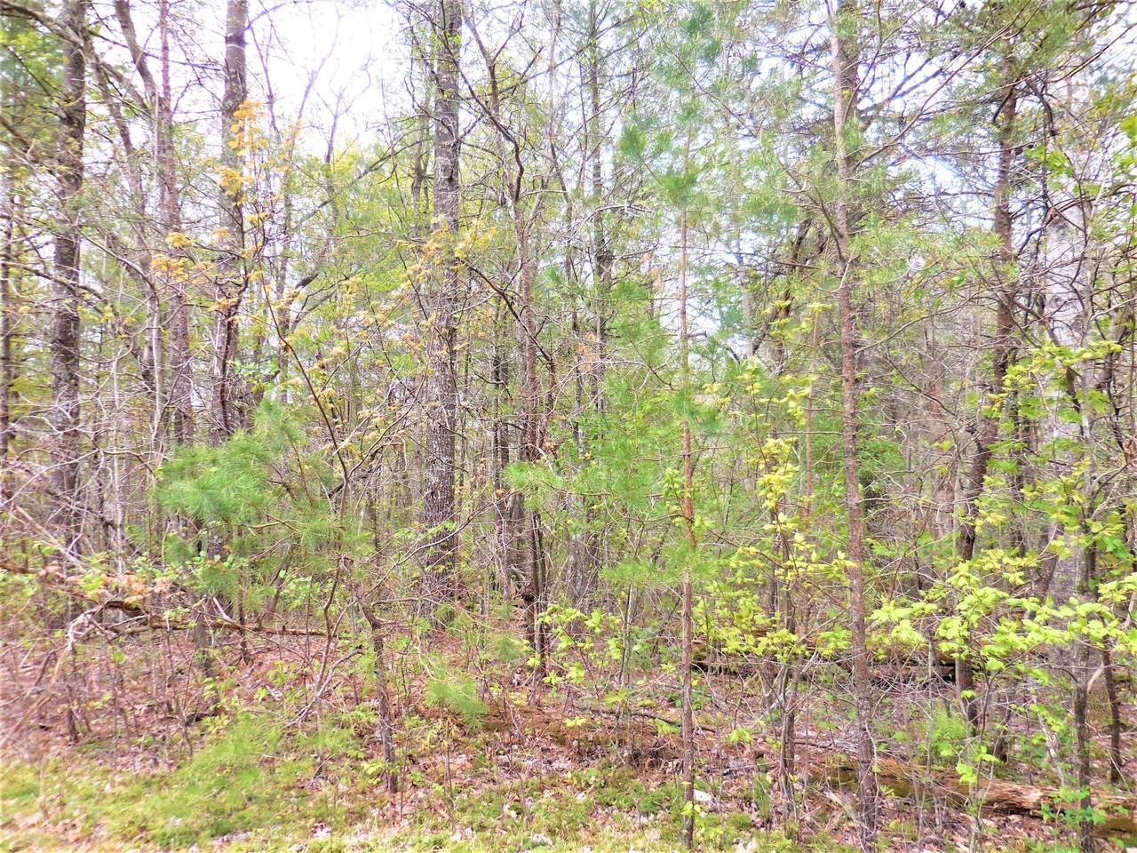 122 Broadstone Dr Drive - Photo 1 122 Broadstone Dr Drive - Photo 1