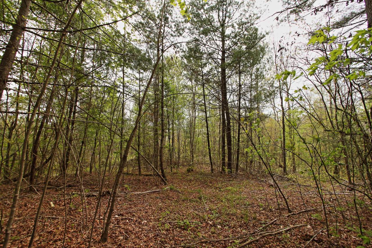 32 Acres Mt Helen Rd - Photo 1