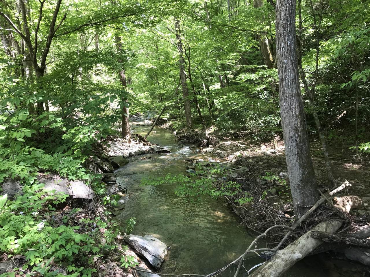 Clear Fork Rd - Photo 1