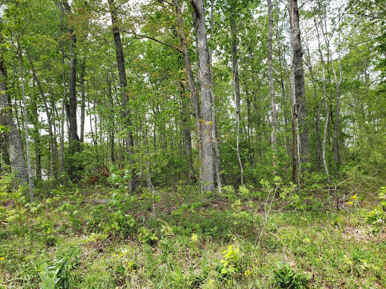 4137 Chica Rd - Photo 1