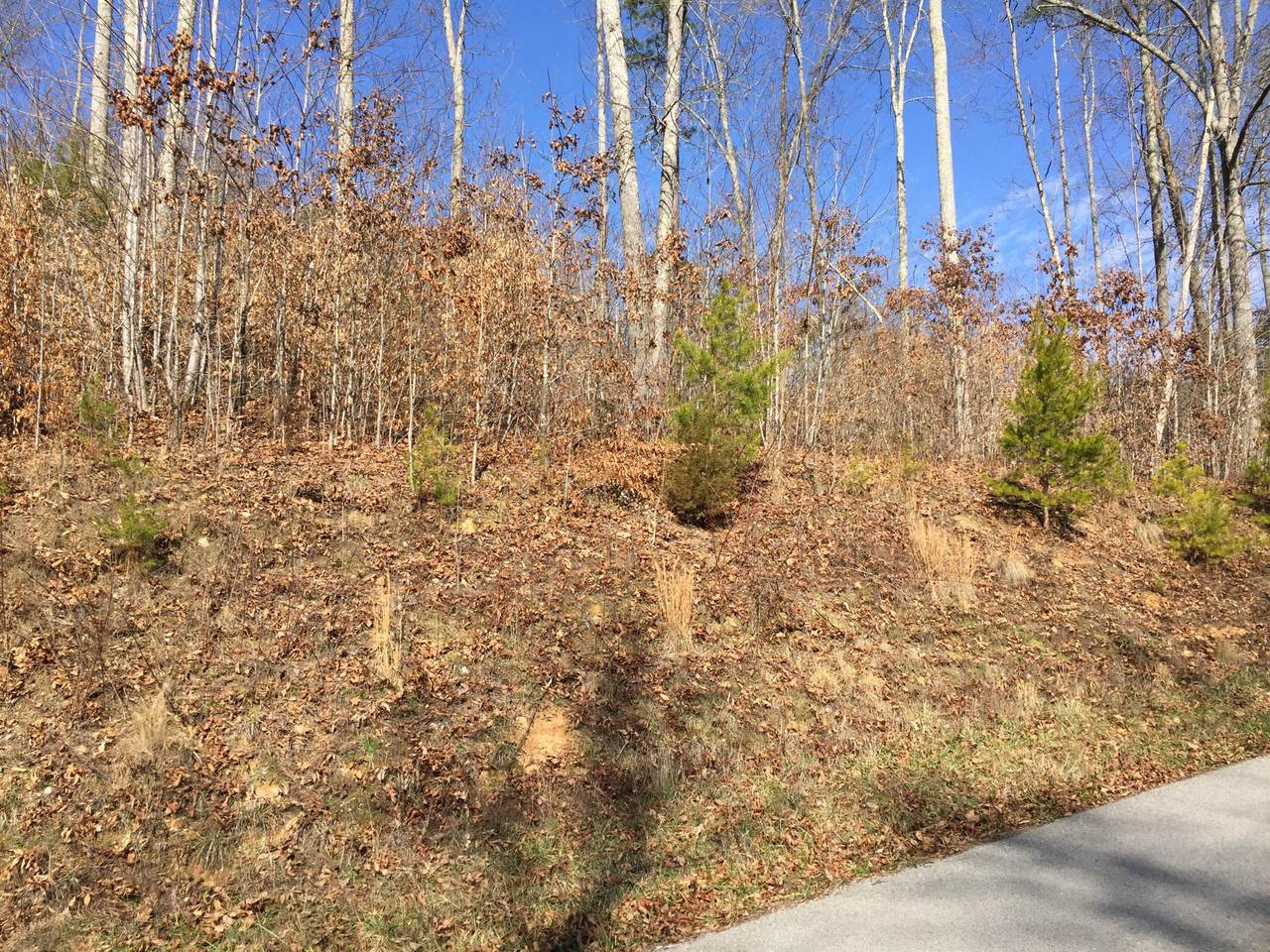 Hickory Pointe Lane - Photo 1 Hickory Pointe Lane - Photo 1
