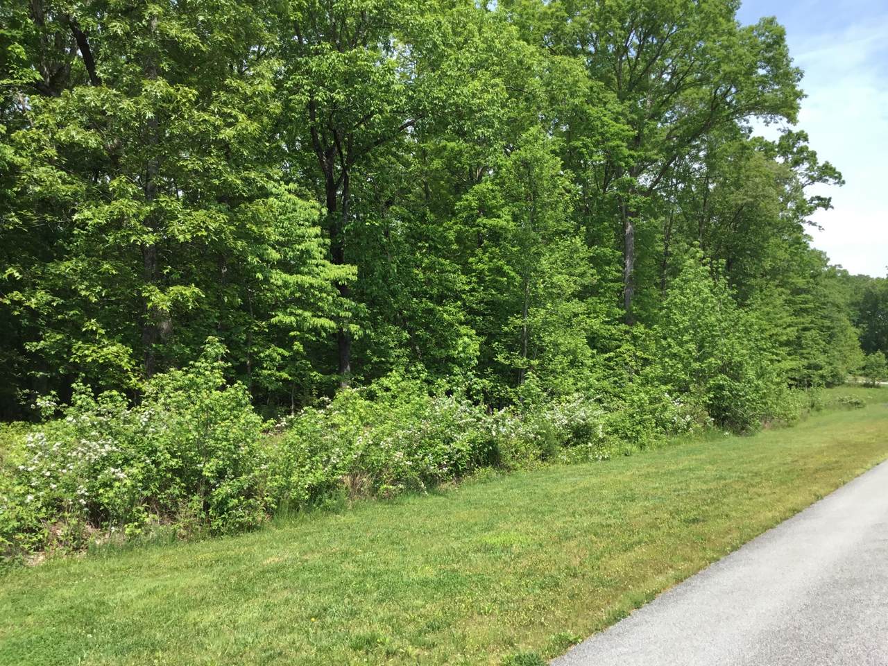 Lot 321 W Mountain Drive - Photo 1 Lot 321 W Mountain Drive - Photo 1