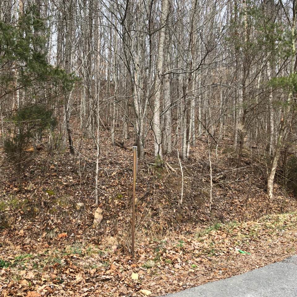 Lone Mountain Rd - Photo 1