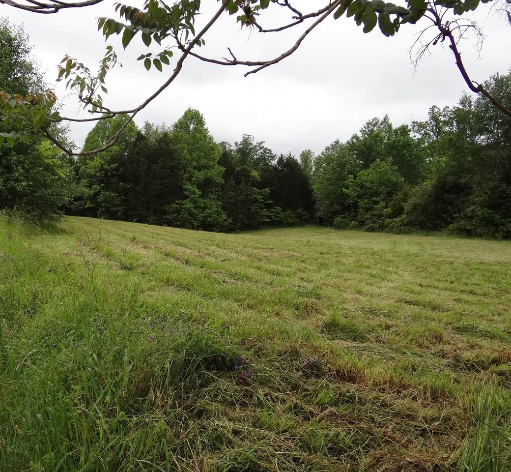 1575 Holladay Rd Rd - Photo 1 1575 Holladay Rd Rd - Photo 1