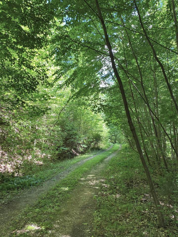 0 Honey Lane - Photo 1