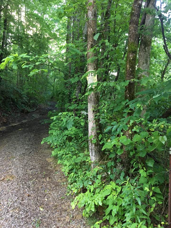 Happy Creek Rd - Photo 1