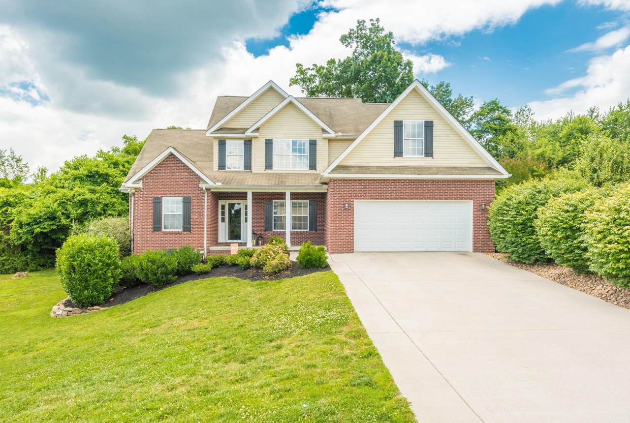 7433 Openview Lane - Photo 1