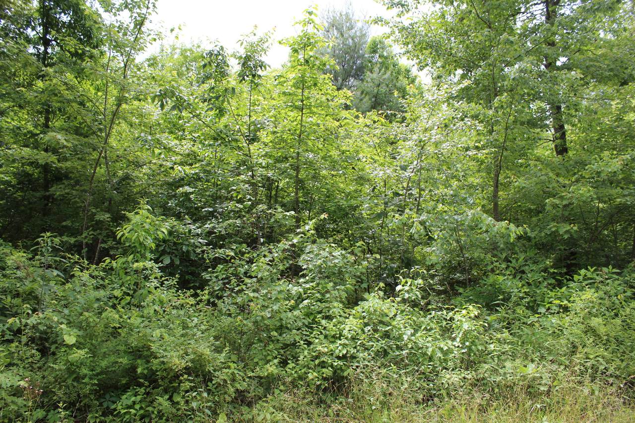 Bowater Rd - Photo 1
