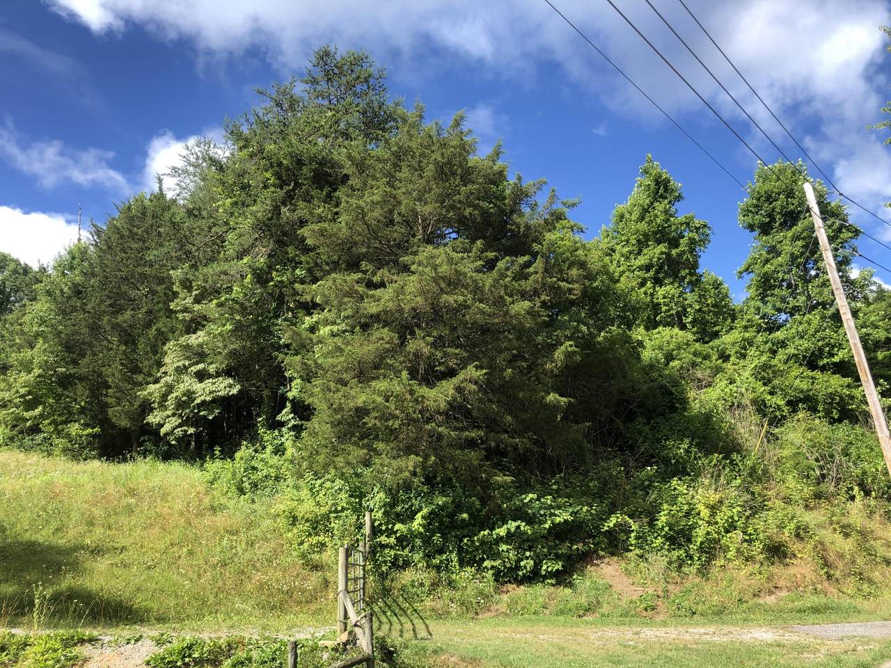 Grantsboro Rd - Photo 1