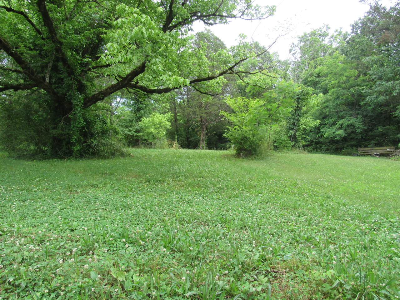 4720 Prospect Rd - Photo 1