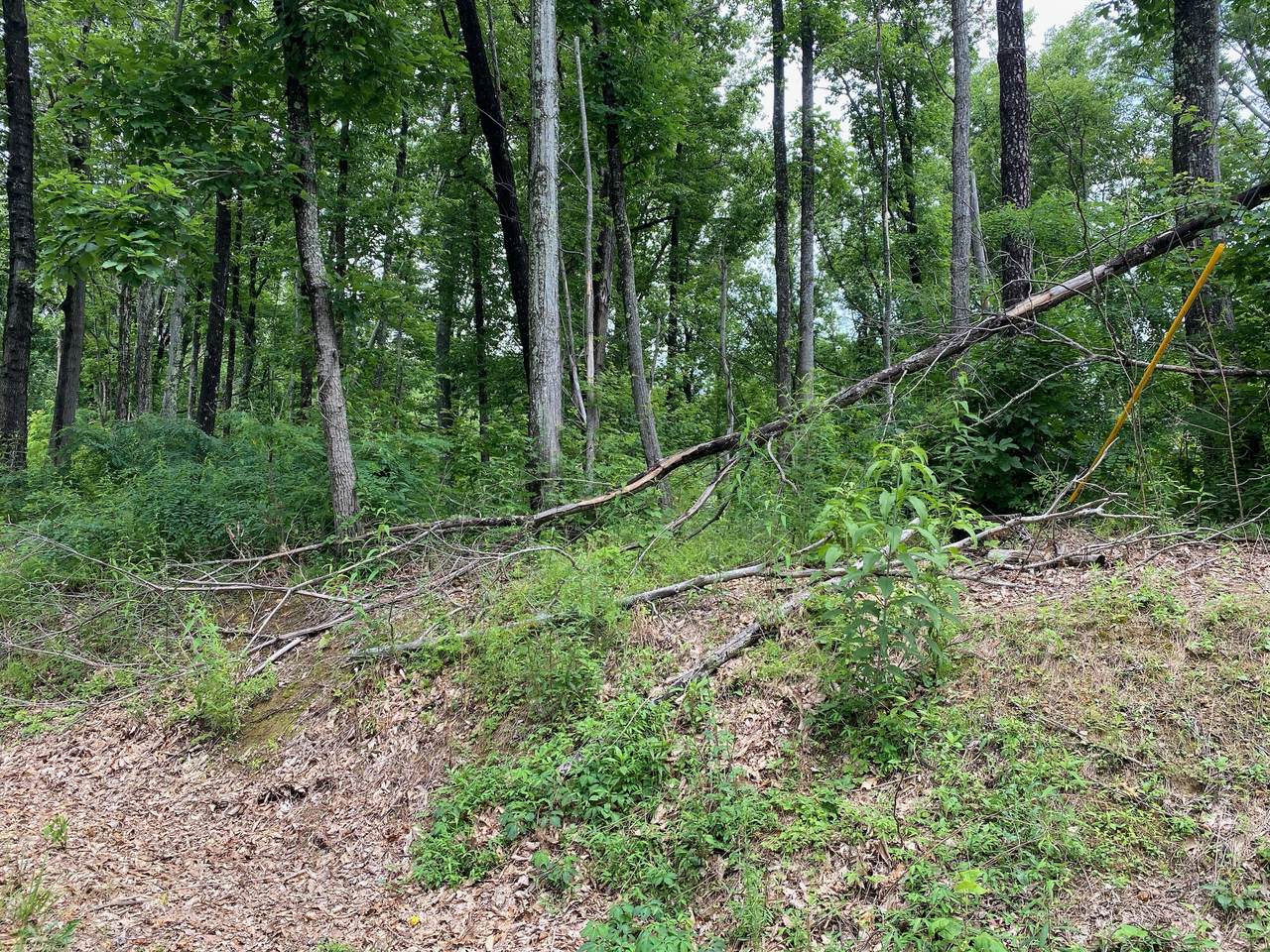 Lot 26 Deer Path Ln - Photo 1