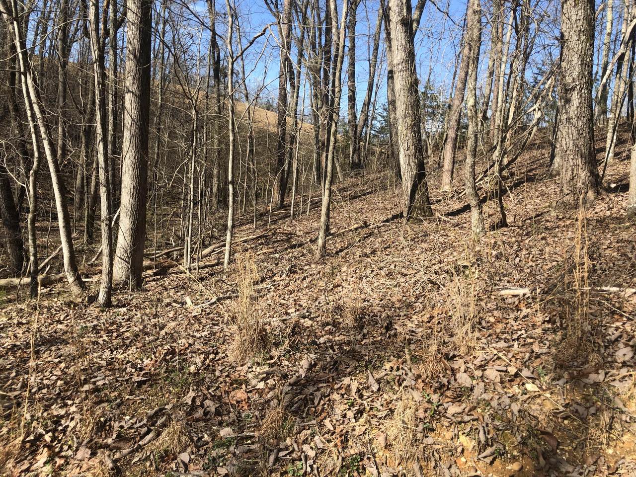 Lot 162 Maple Drive - Photo 1