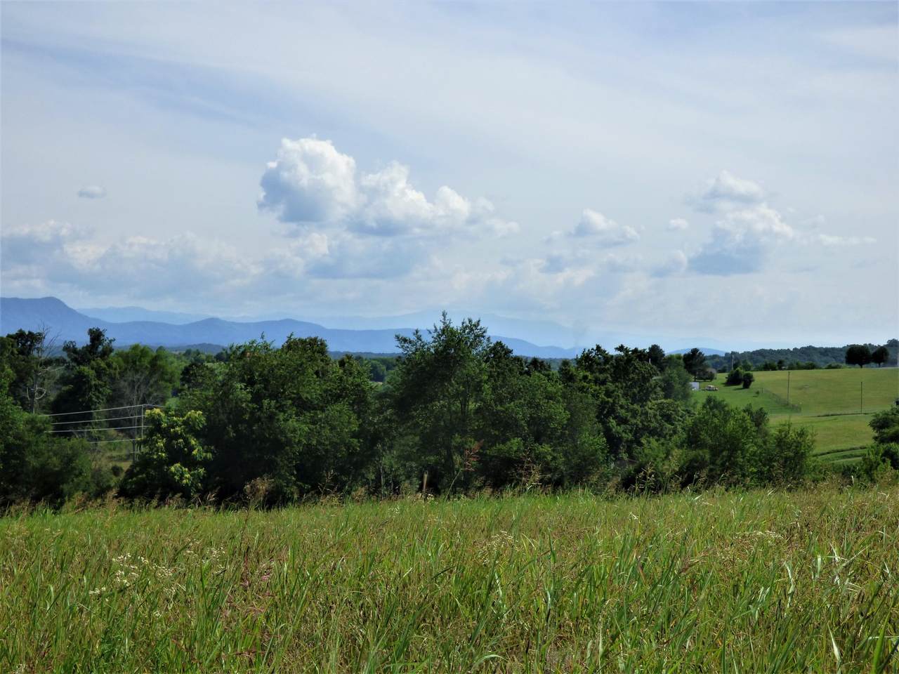 Lot 2 Falcon Rd - Photo 1
