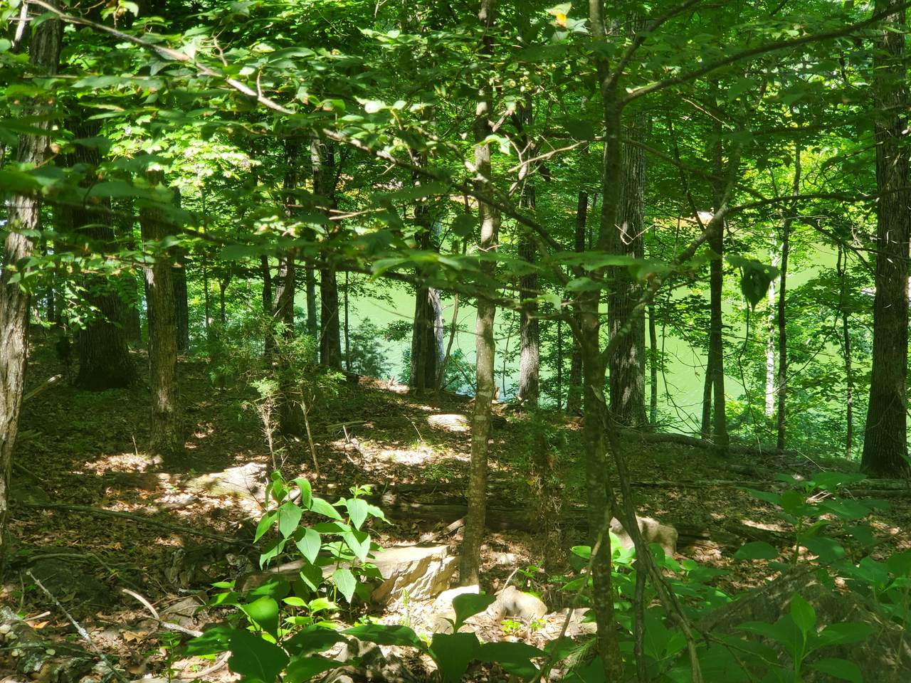 Lot 124 Kahiti Court - Photo 1