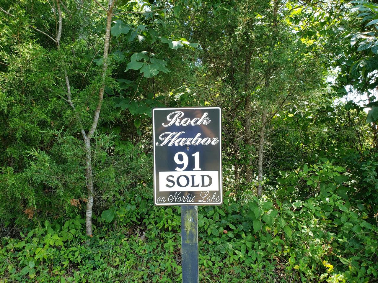 91 Smokey Quartz Blvd - Photo 1
