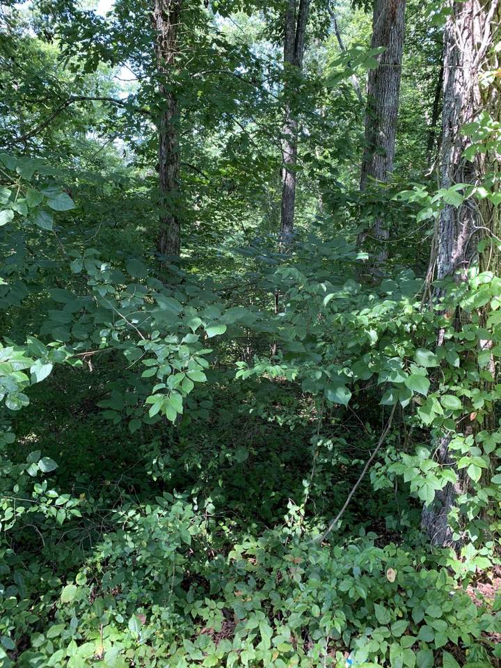 146 Boyer Rd - Photo 1