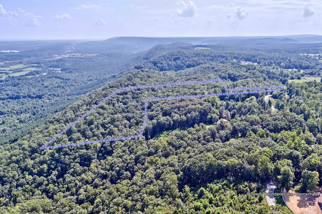 Lot 6&7 Possum Trot Rd - Photo 1