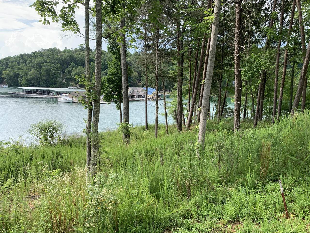 Lot #199 Waterside Lane - Photo 1