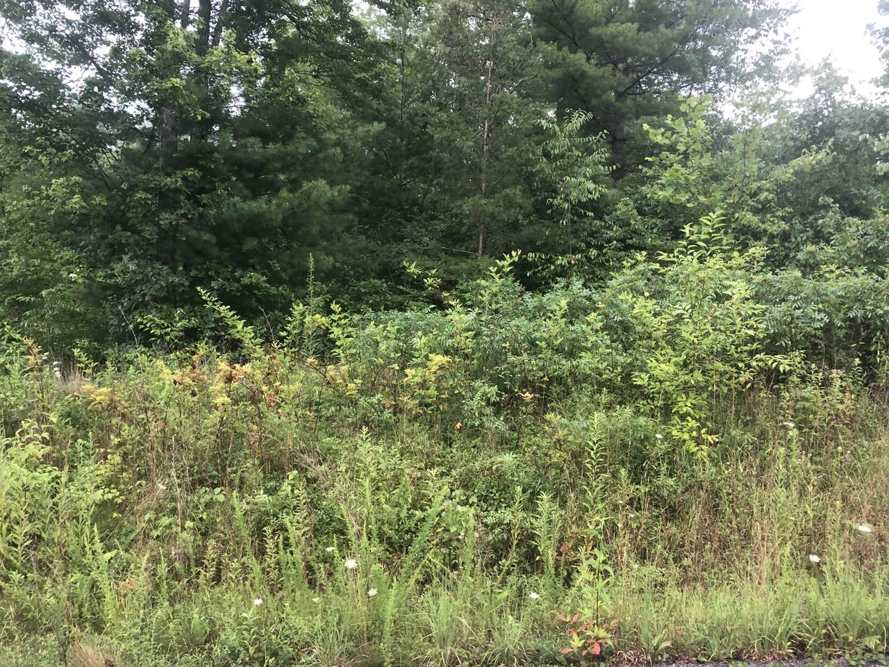 Mountain Preserve Pkwy - Photo 1