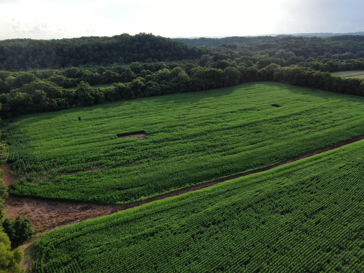 35.46 Acre O'donoghue Rd - Photo 1