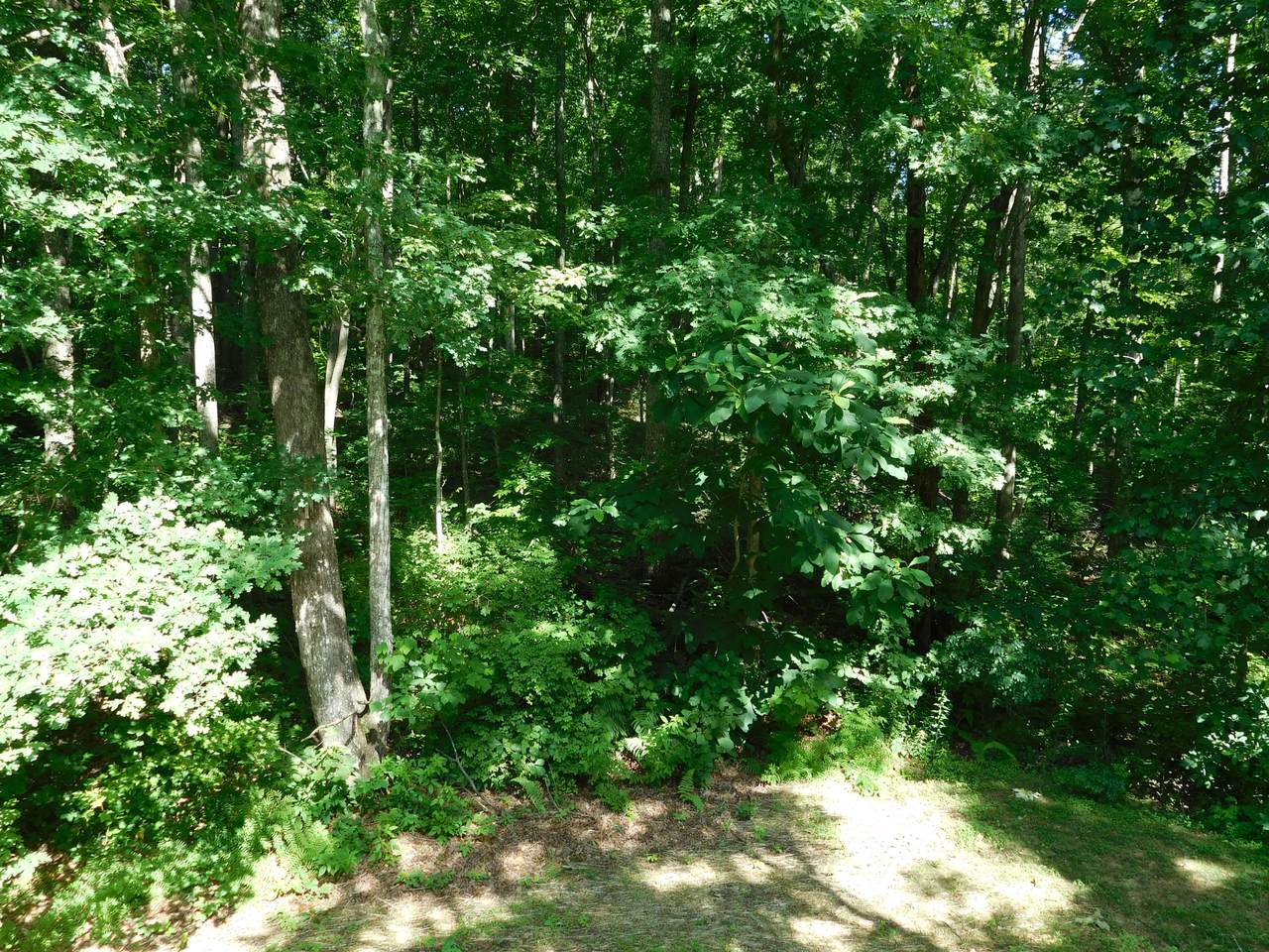 Short Place - Photo 1