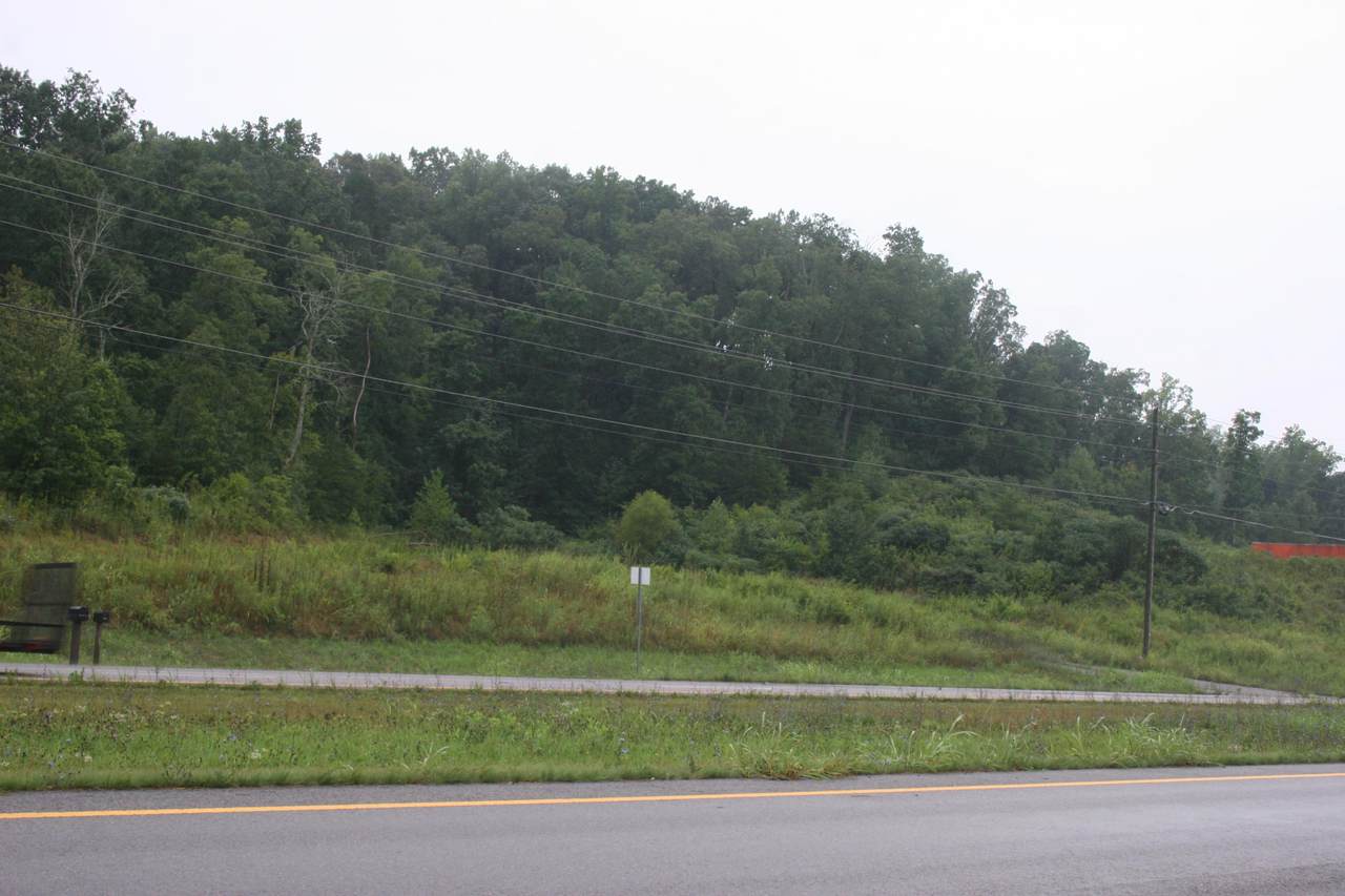 2875 Hwy 411 N - Photo 1