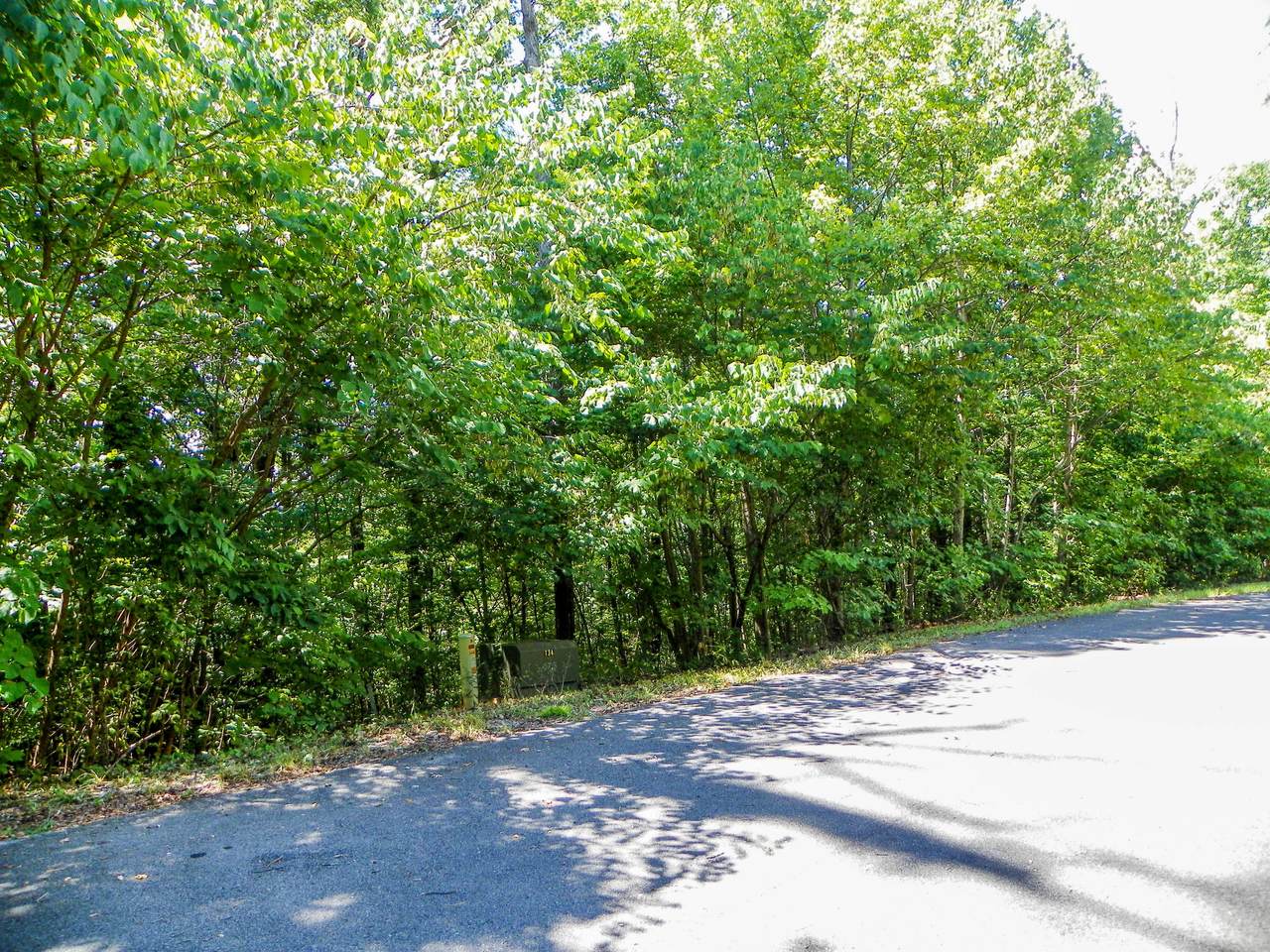 Lot# 34 Stevia Way - Photo 1