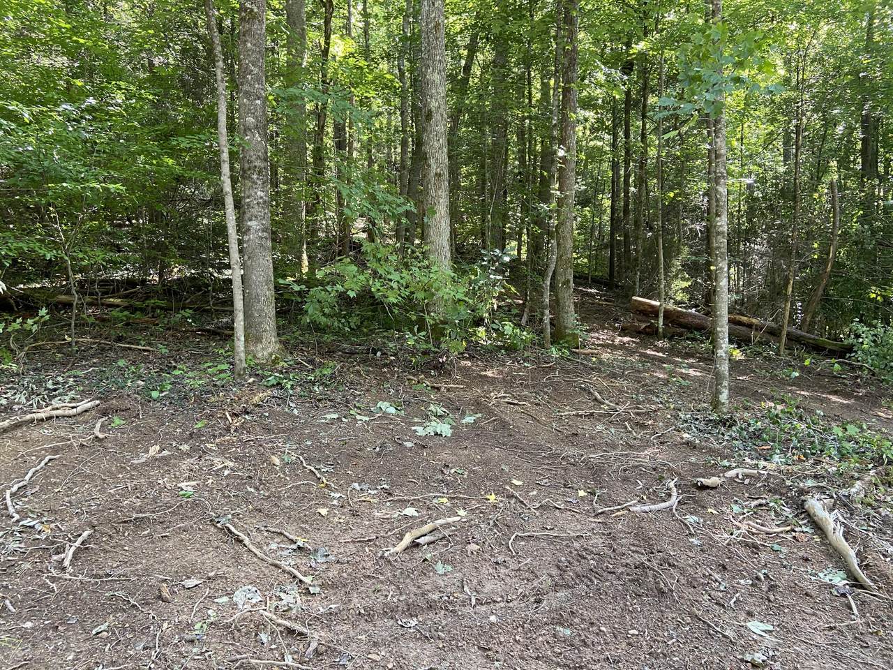 6124 Lamar Alexander Pkwy - Photo 1