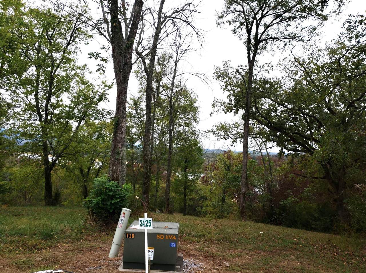 Ivy Way (Lot 24) - Photo 1