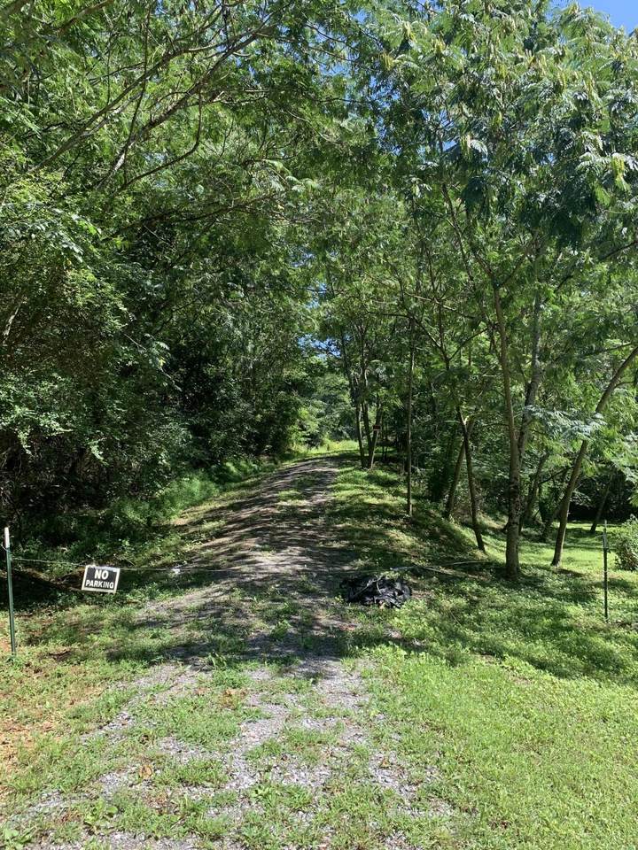 723 Old Piney Road Rd - Photo 1
