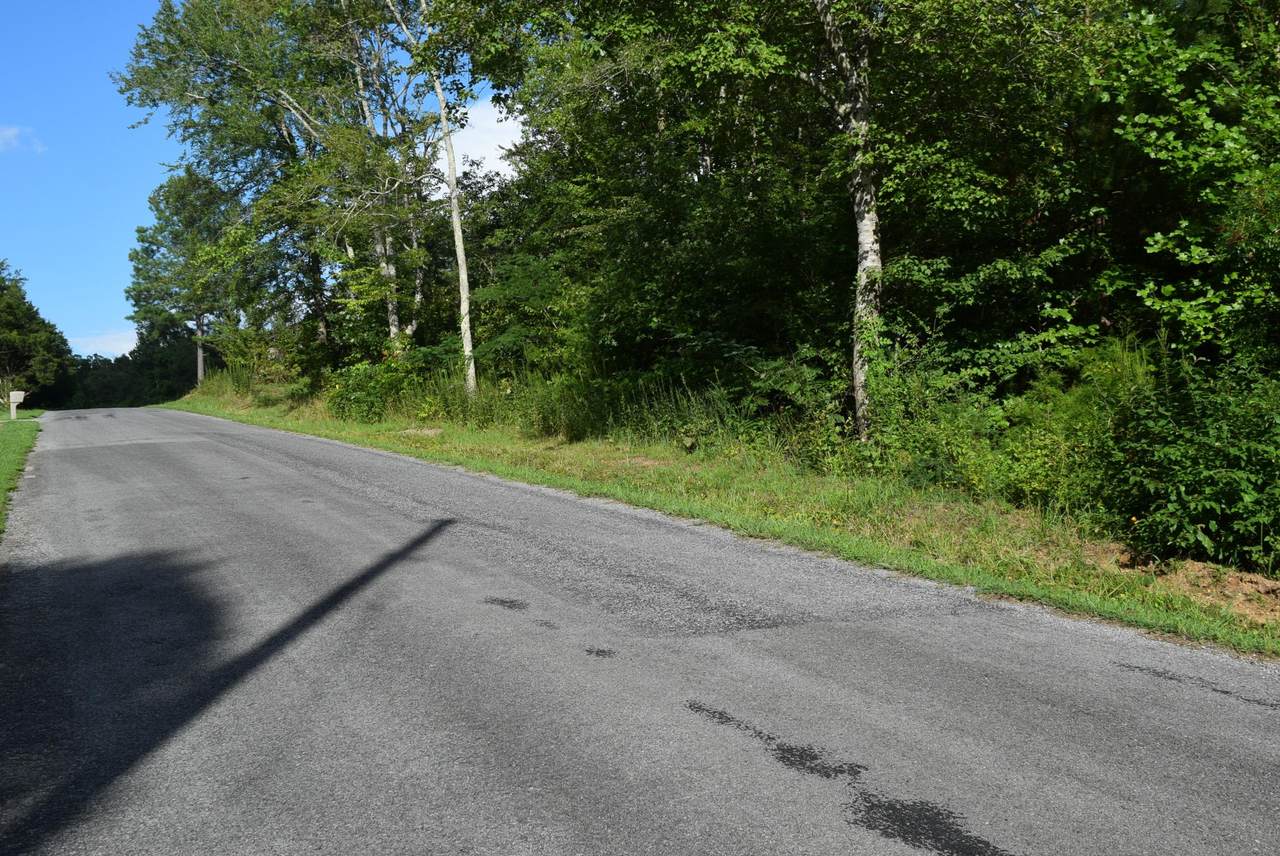 000 County Road 102 - Photo 1