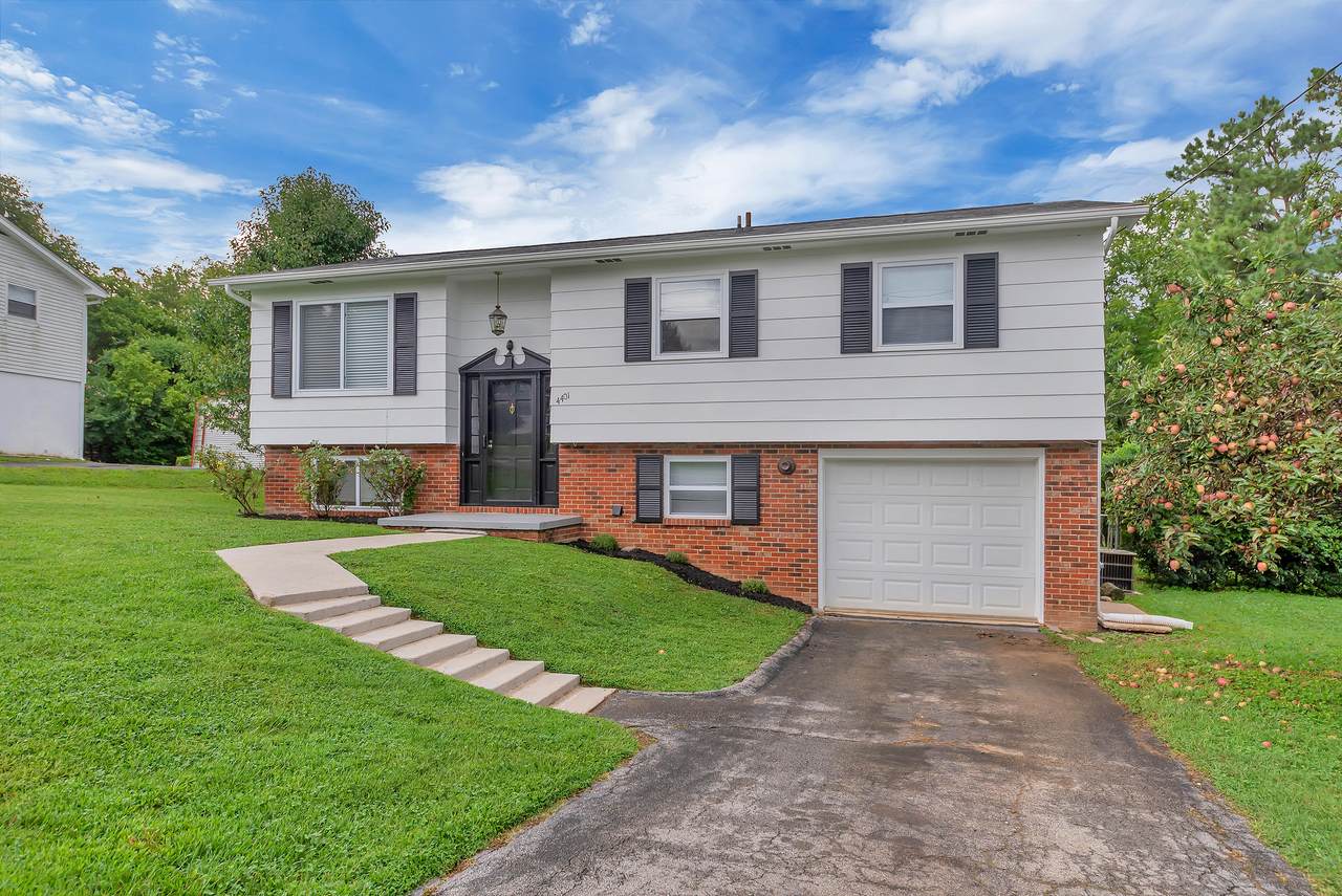 4401 Scarlett Lane - Photo 1