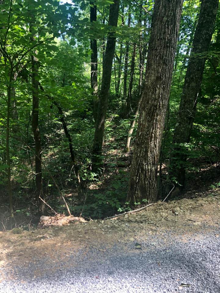 Lot 32 Brooke Hollow Lane - Photo 1