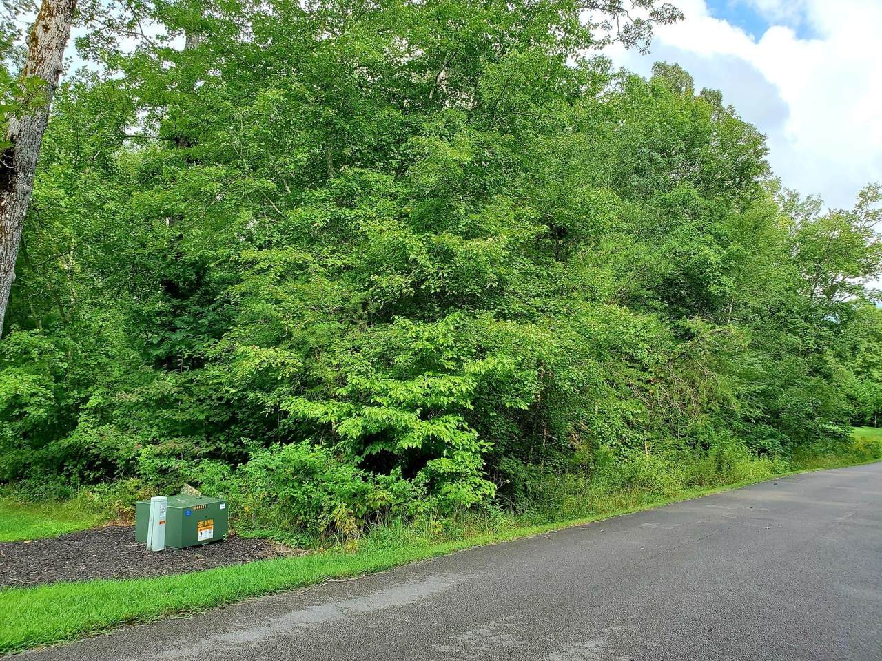Lot 2 Carrie Drive - Photo 1