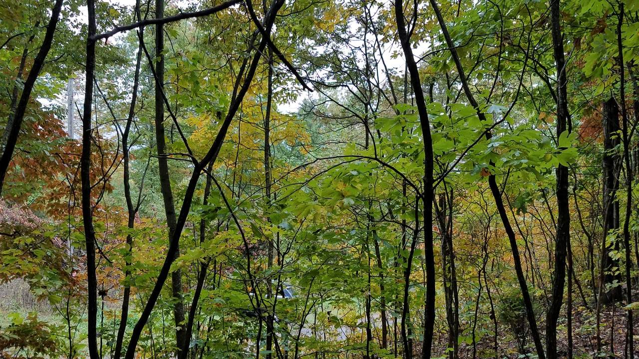 0 Fire Tower Rd - Photo 1