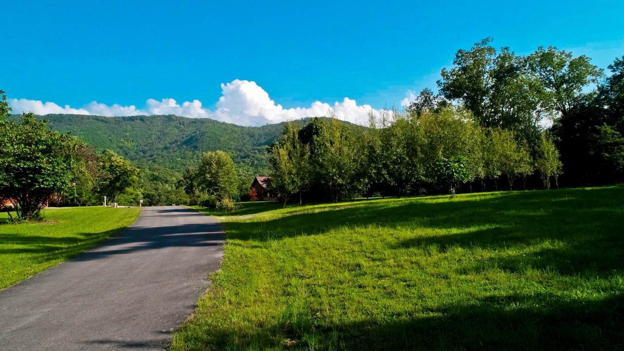 LOT 64 Schisandra Lane - Photo 1