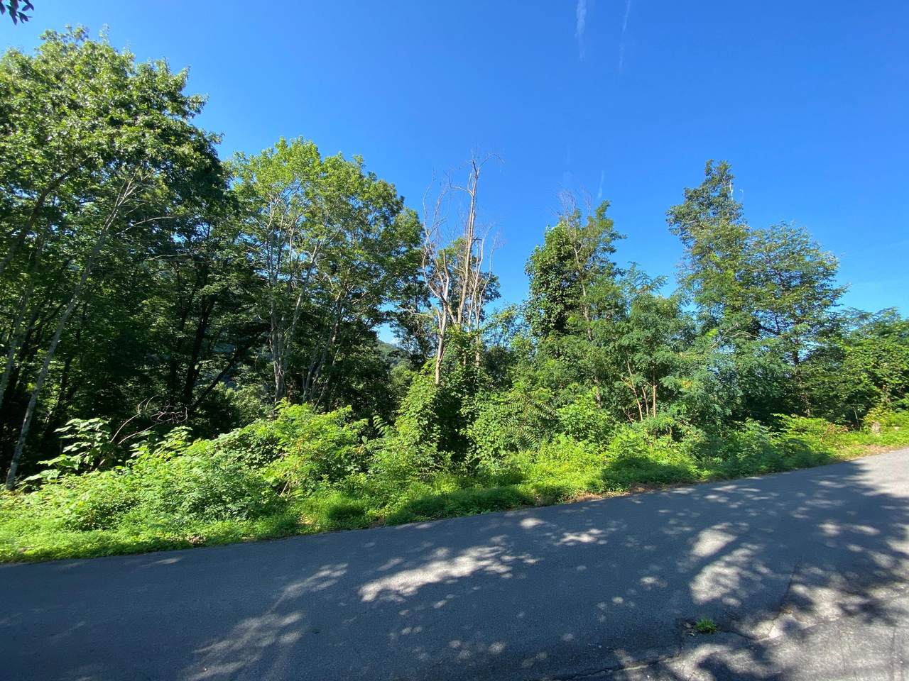 Lot 0047 Alta Vista Drive - Photo 1