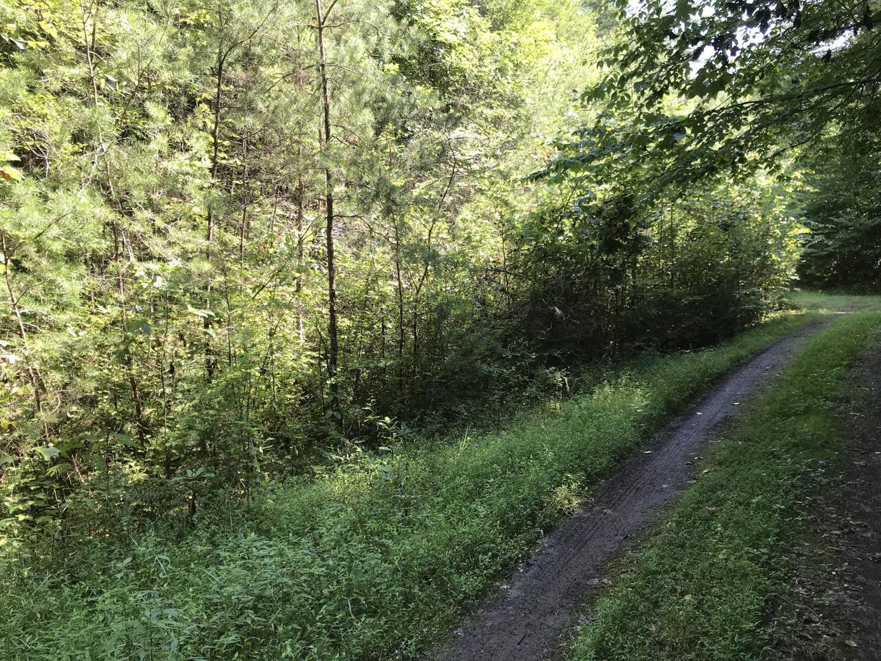 Coy Rhea Way - Photo 1