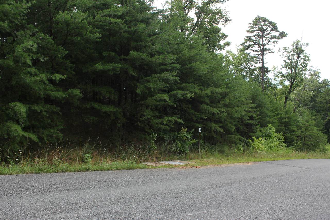 Lot #52 Mountain Ash Way - Photo 1