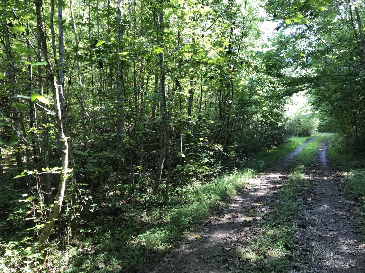 Coy Rhea Way - Photo 1
