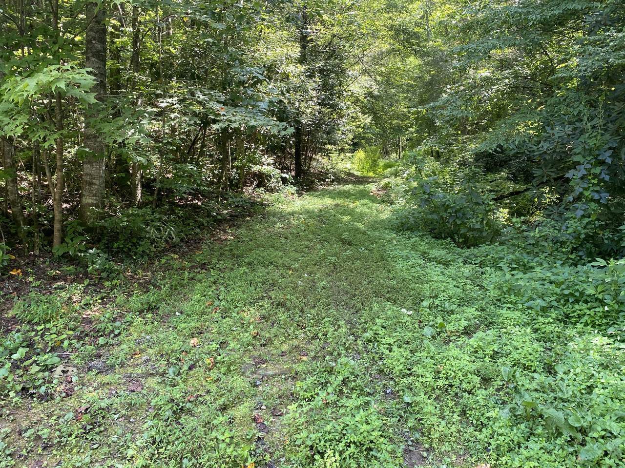 000 Punkton Rd - Photo 1